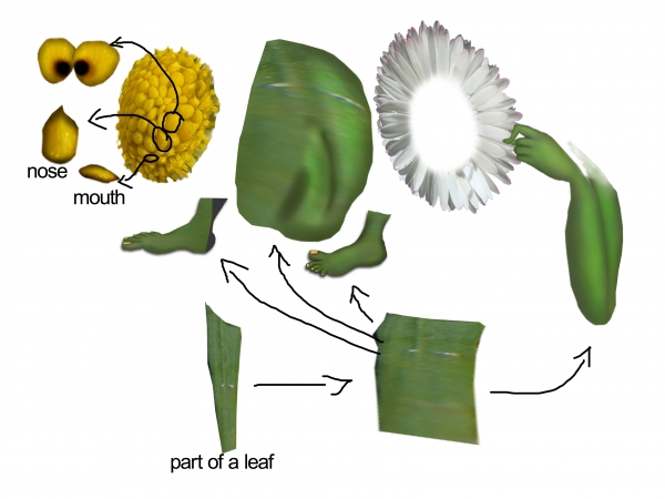 Creation of She loves me, she loves me not: Step 2